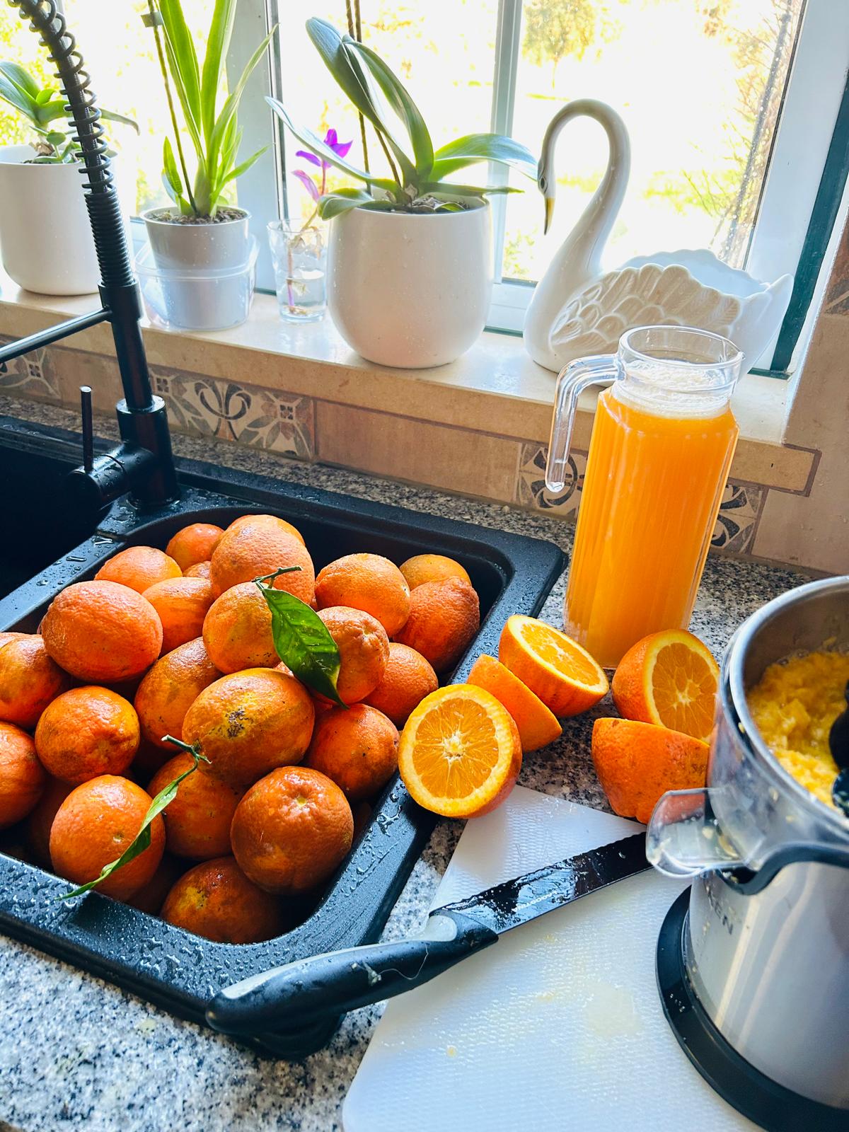Tray of just-picked oranges beside a pitcher of fresh juice