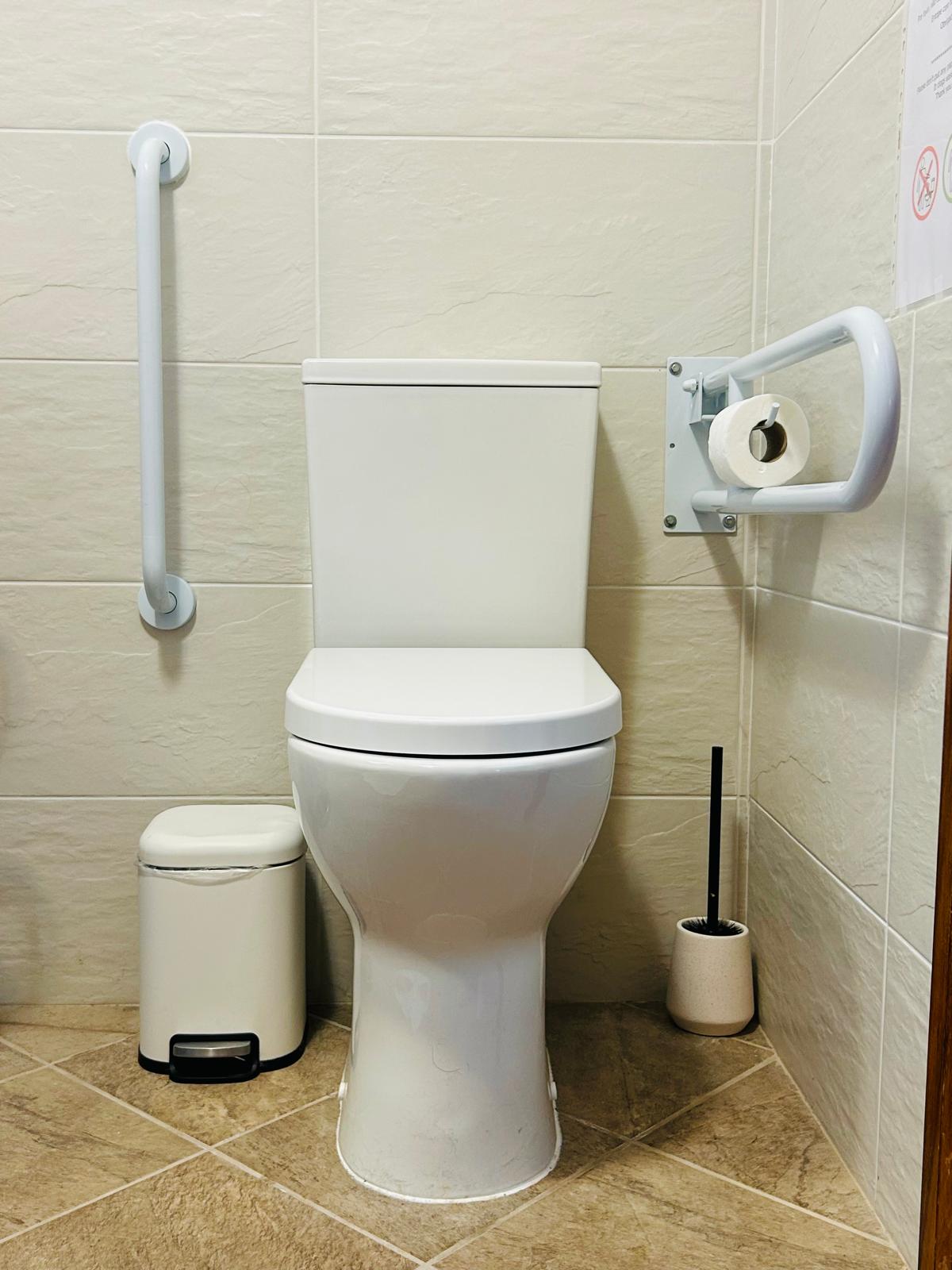 Sun-Kissed Suite accessible toilet with vertical grab bar and fold-down rail