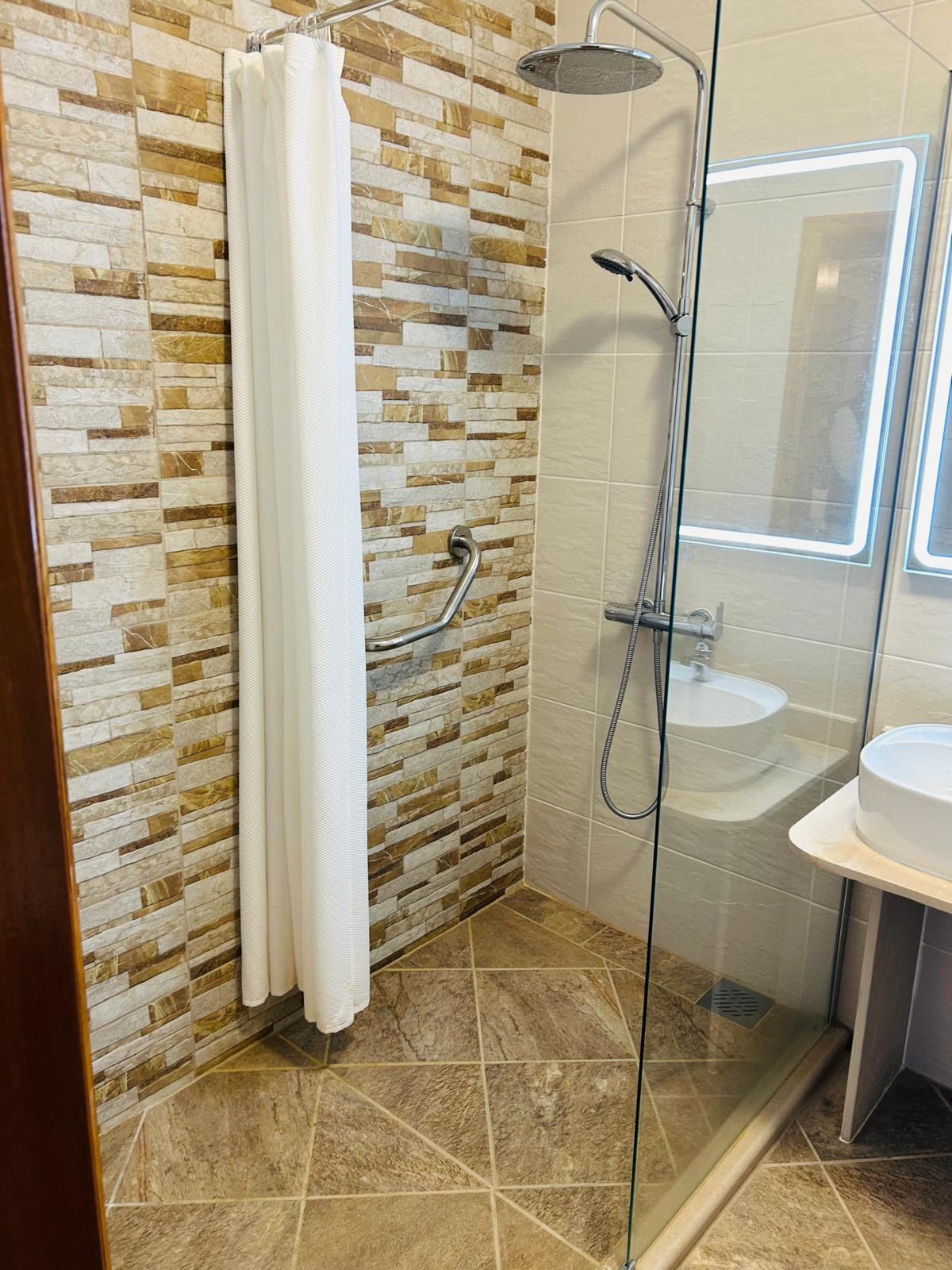 Hall bathroom walk-in shower