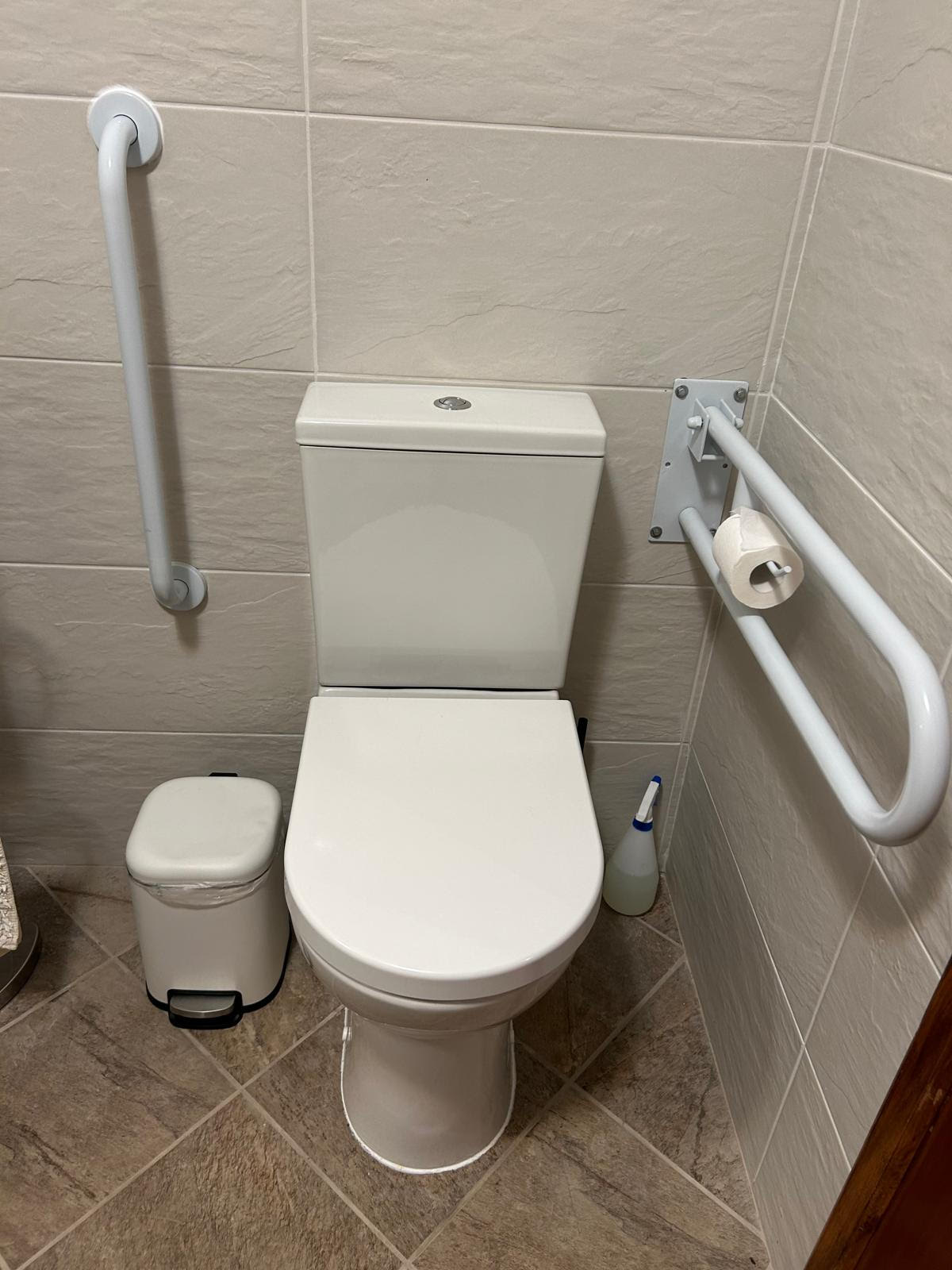Hall bathroom accessible toilet