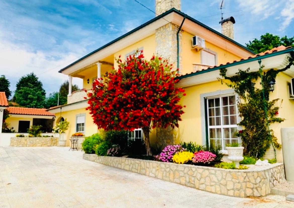 Sunrise Villa Alvorada's yellow facade with the crimson Bottlebrush Tree in full bloom by the driveway